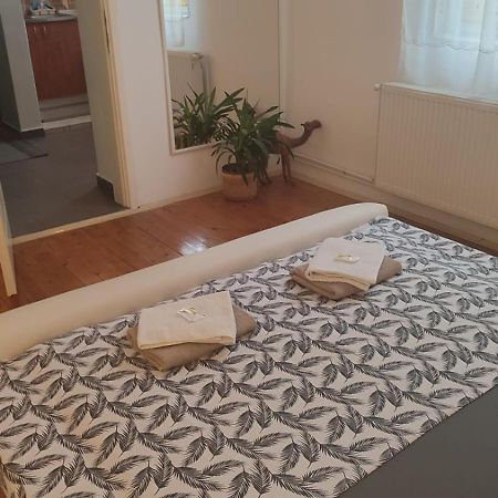 Apartman Centar Krusevac Bagian luar foto