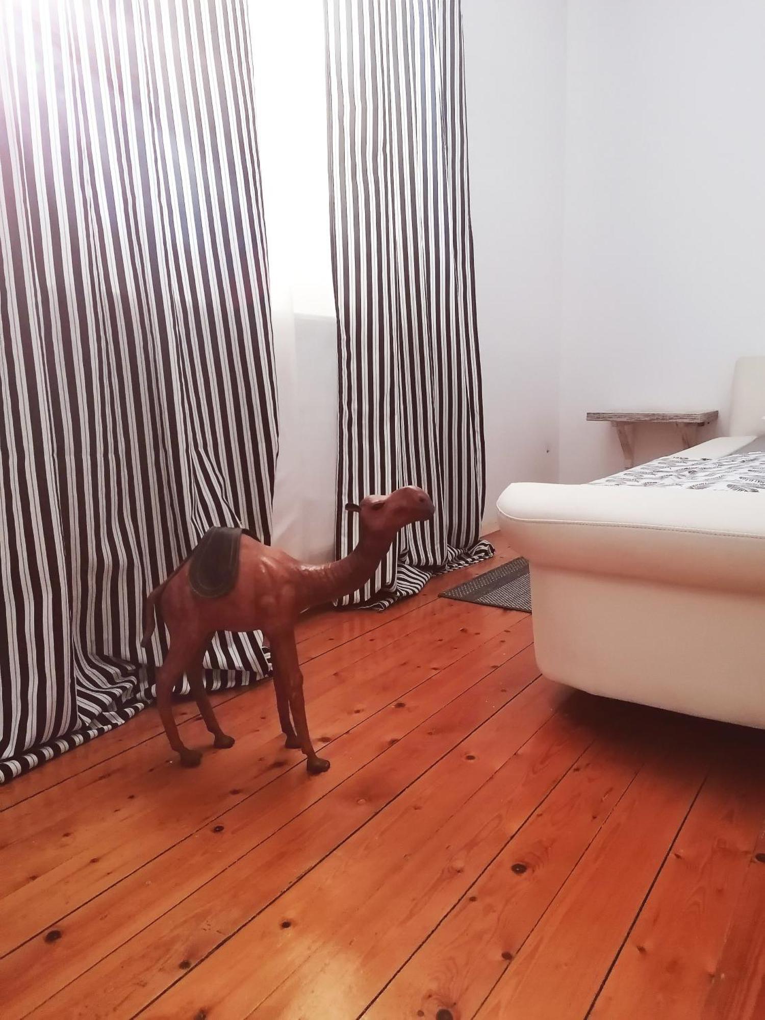 Apartman Centar Krusevac Bagian luar foto