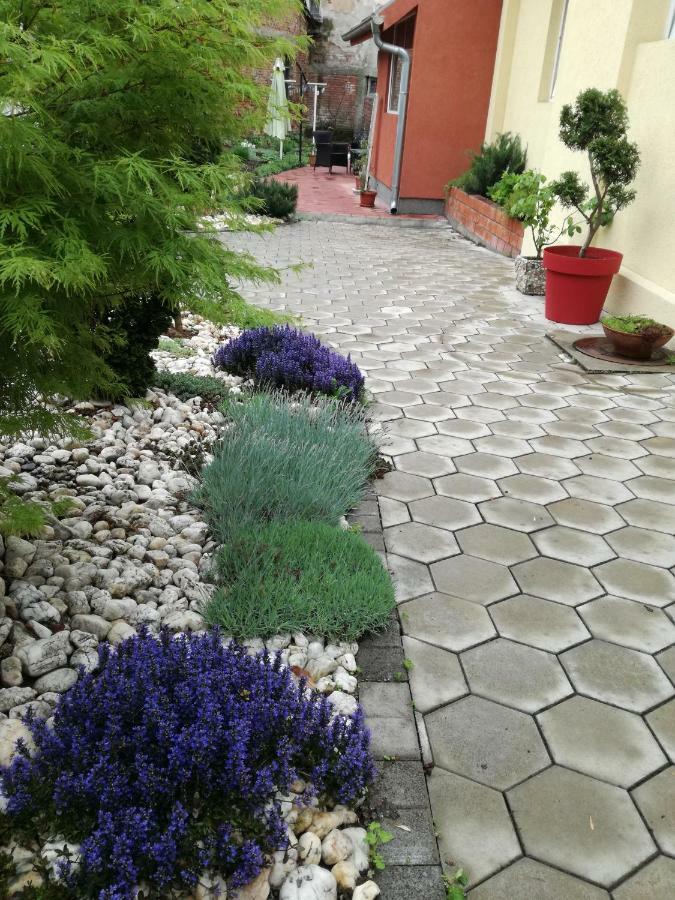 Apartman Centar Krusevac Bagian luar foto